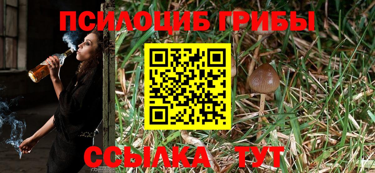 Галлюциногенные грибы Cubensis Анжеро-Судженск