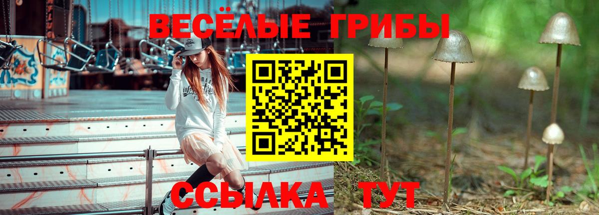 ГАШИШ Анжеро-Судженск